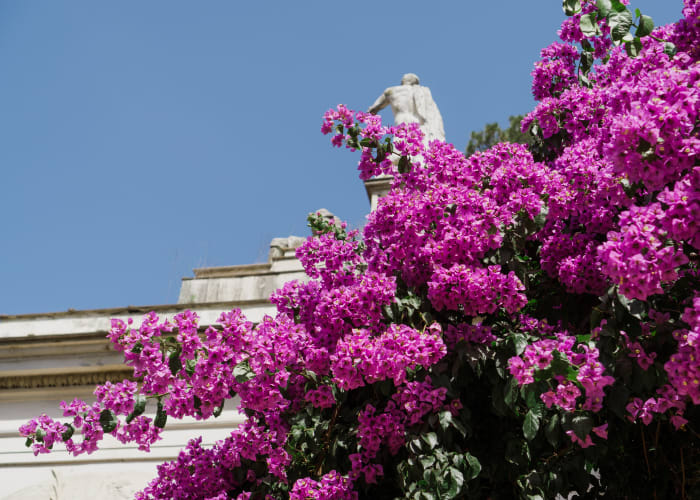 Jardin de la Villa Borghese
