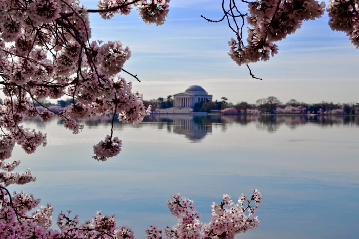 Tidal Basin au printemps