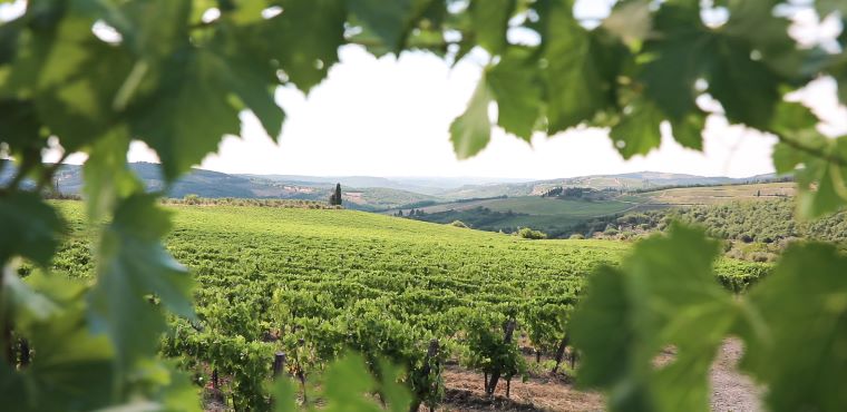 Chianti