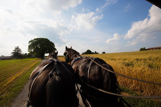 Washington DC, Philadelphia & The Amish Country - Philadelphia, Washington DC & Amish Country, 2-Days from NYC - English - USD