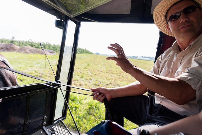 Philadelphia & Amish Country - Philadelphia and Amish Country, 1-Day Tour from NYC - English - USD