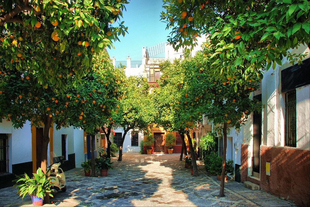 Jewish Quarter 4