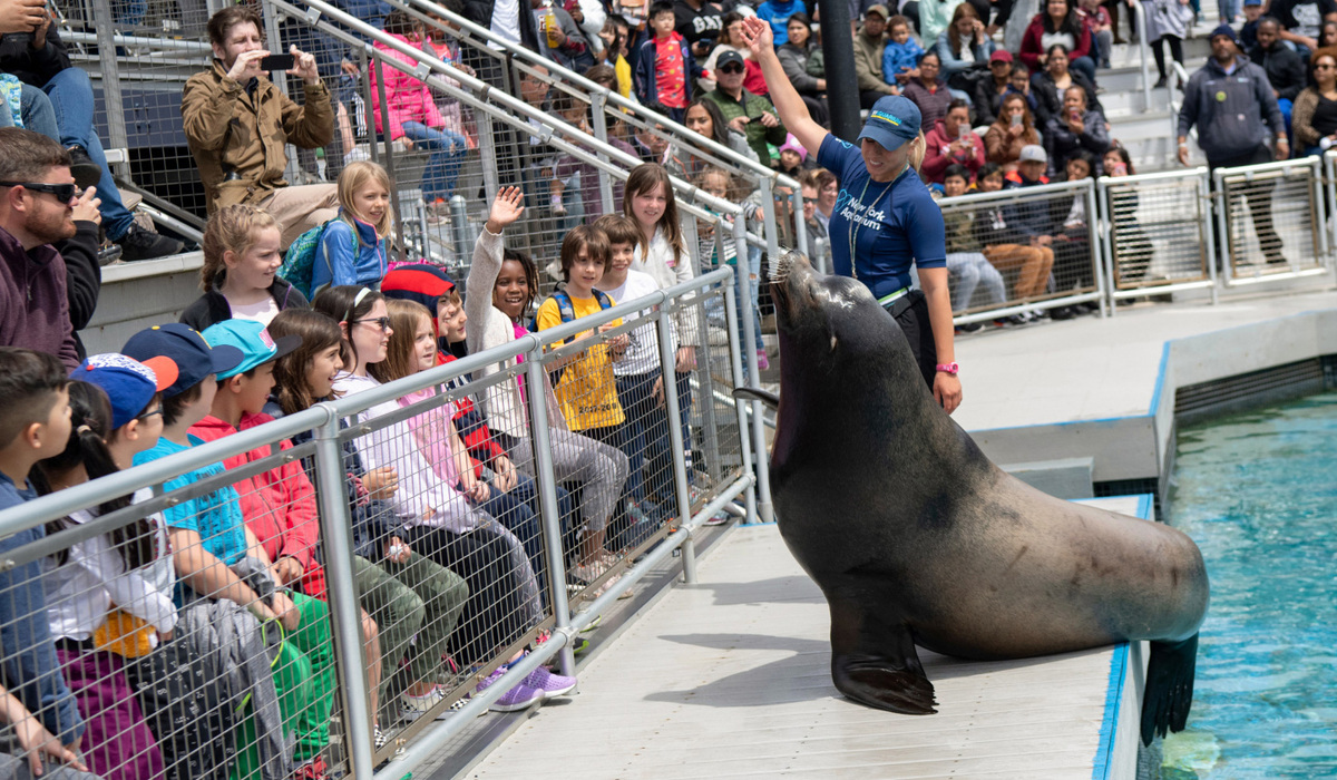 New York Aquarium: Entry Ticket