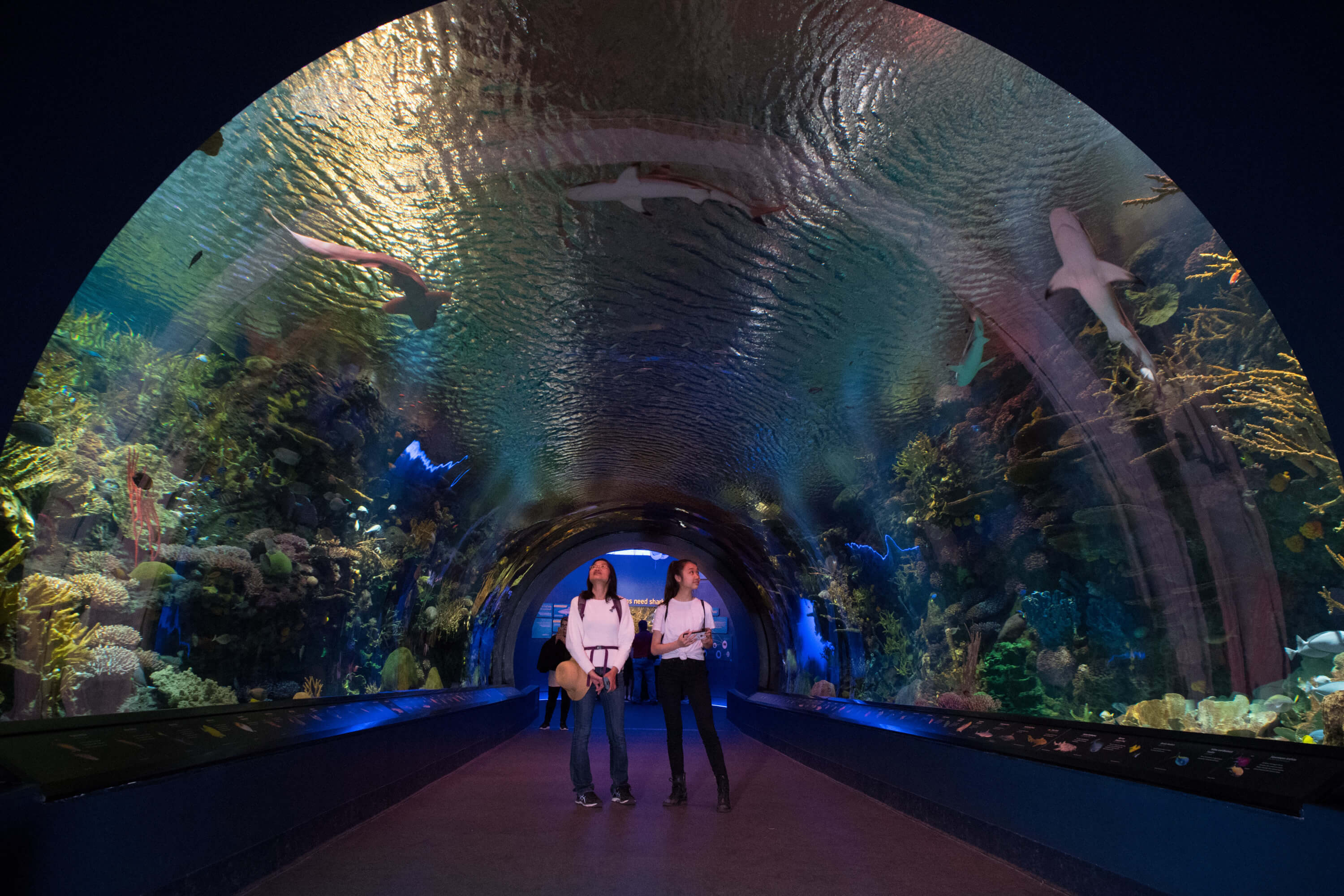 New York Aquarium: Entry Ticket