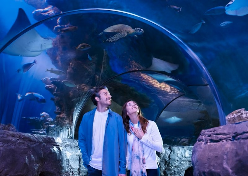 Dallas Sea Life Grapevine Tickets