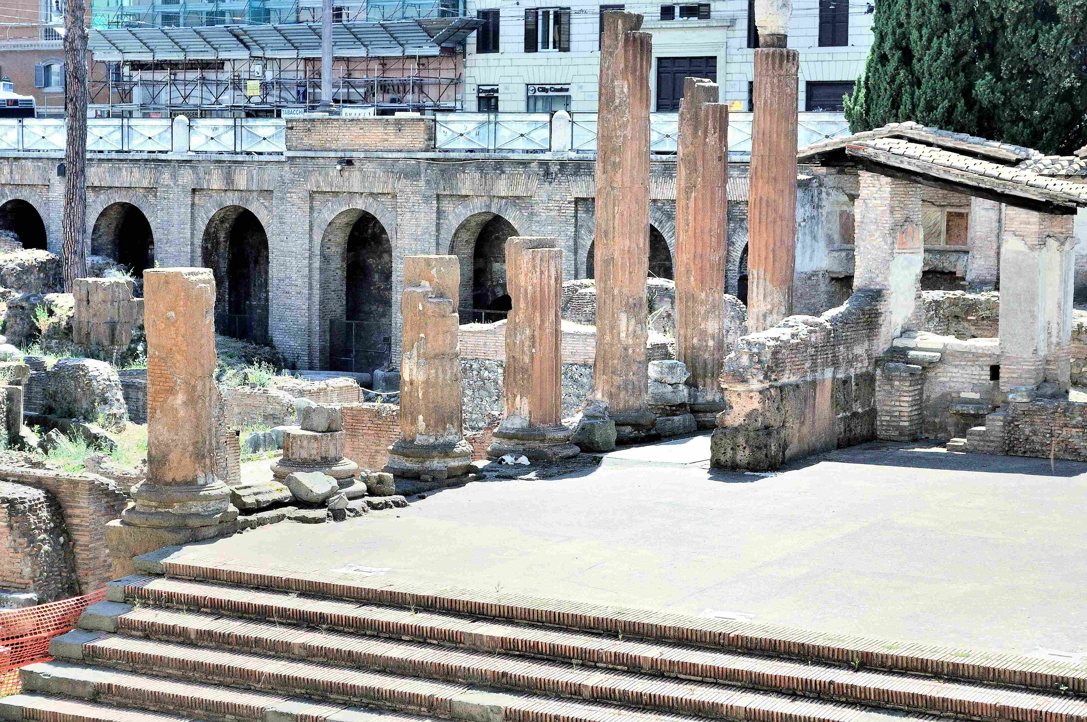 Roman Forum 4
