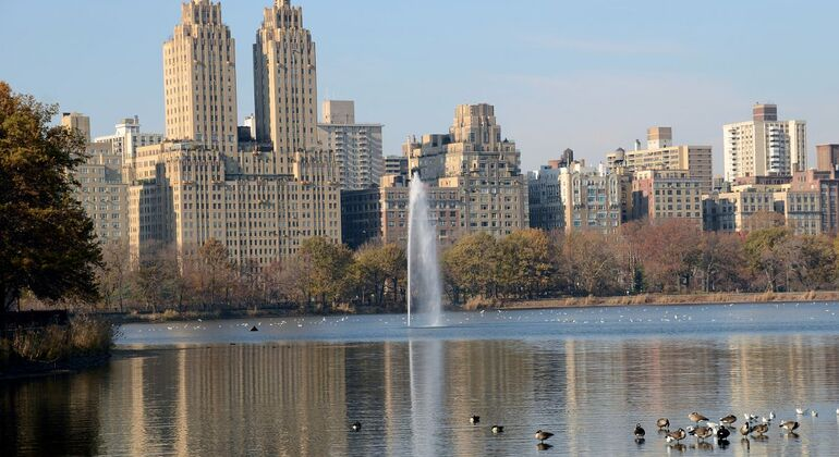 Central Park 2