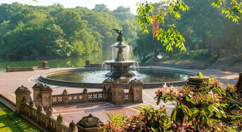 Central Park 4