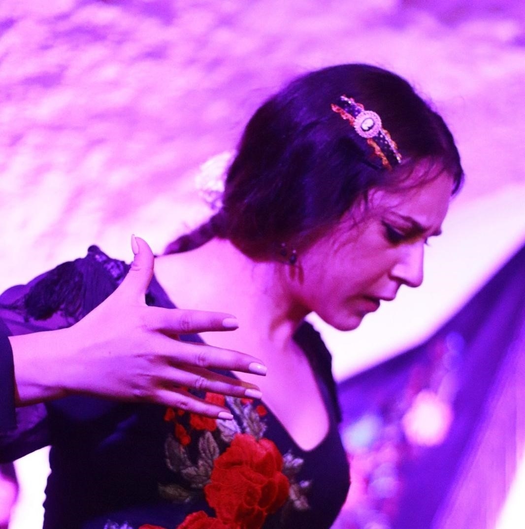 Granada Cueva los Parrones Flamenco Show