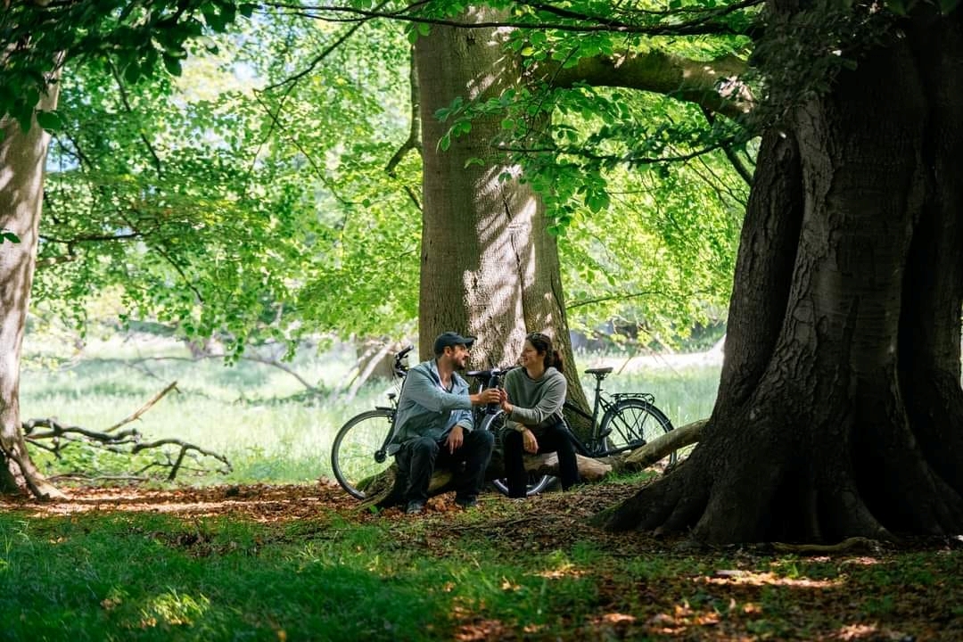 Dyrehaven Deer Park With Train Transfer From 3