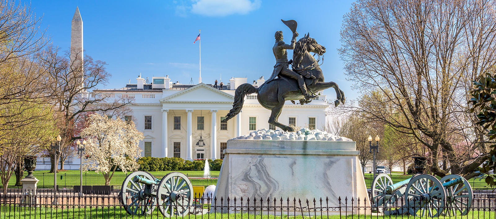 Washington DC 1 Day - Washington DC Highlights, 1-Day Tour from NYC - English - USD