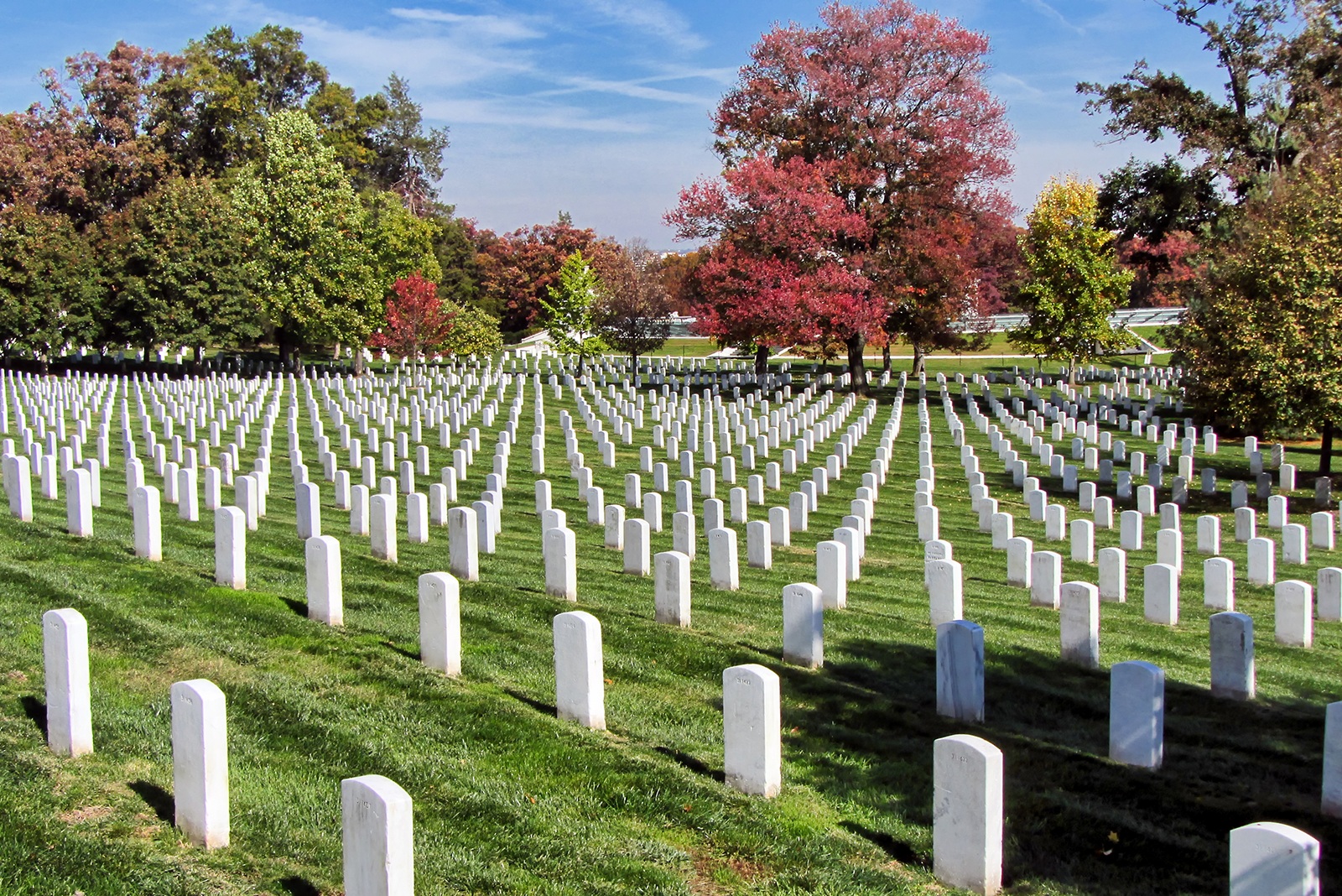Washington DC 1 Day - Washington DC Highlights, 1-Day Tour from NYC - English - USD