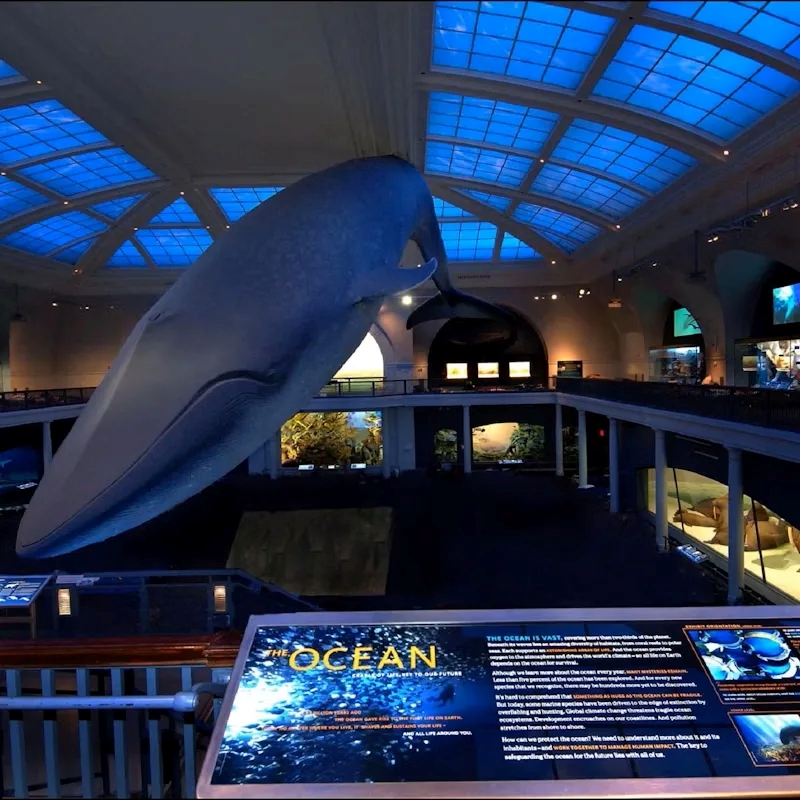 American Museum of Natural History (AMNH): Entry Ticket