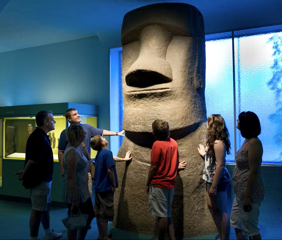 American Museum of Natural History (AMNH): Entry Ticket