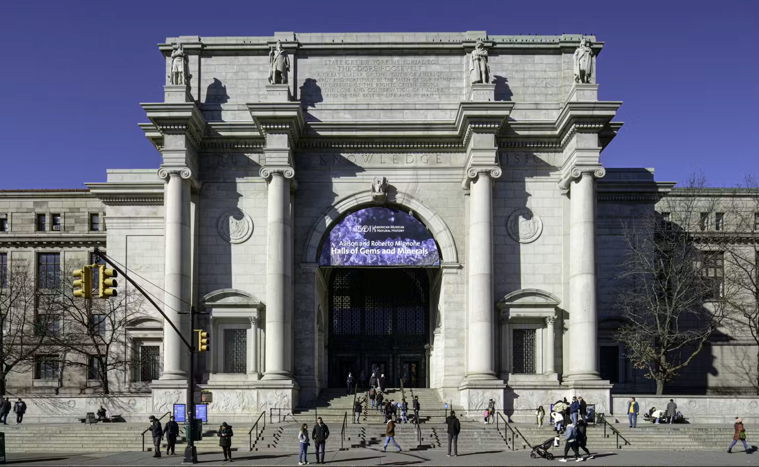 American Museum of Natural History (AMNH): Entry Ticket