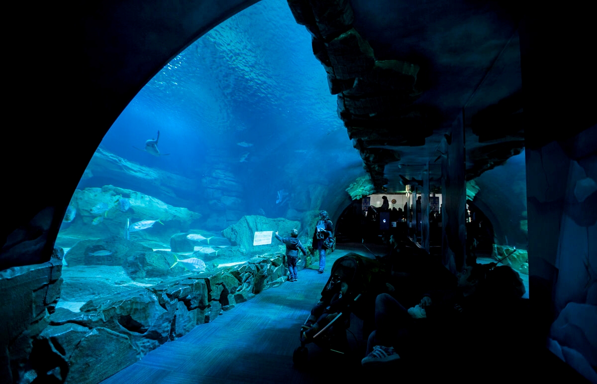 Explorer Pass—choose a 3-, 4-, Or 5-attraction Pass