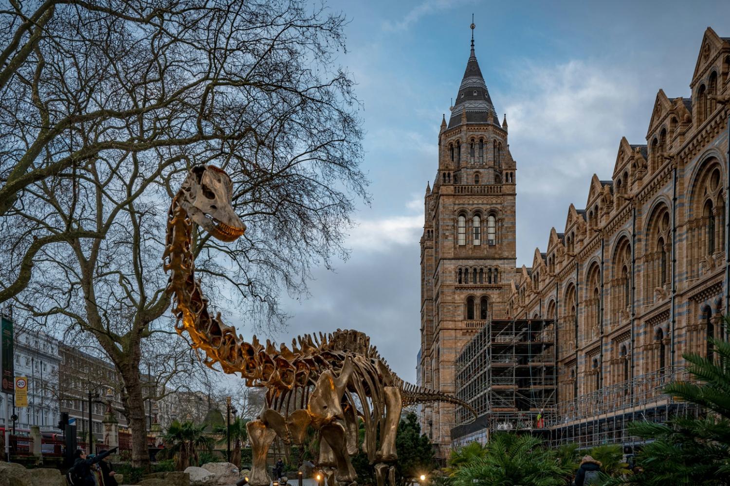 Natural History Museum