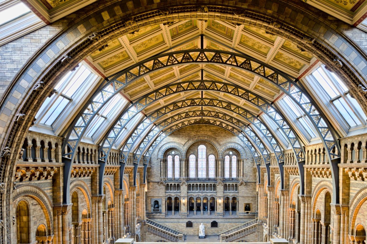Natural History Museum 2