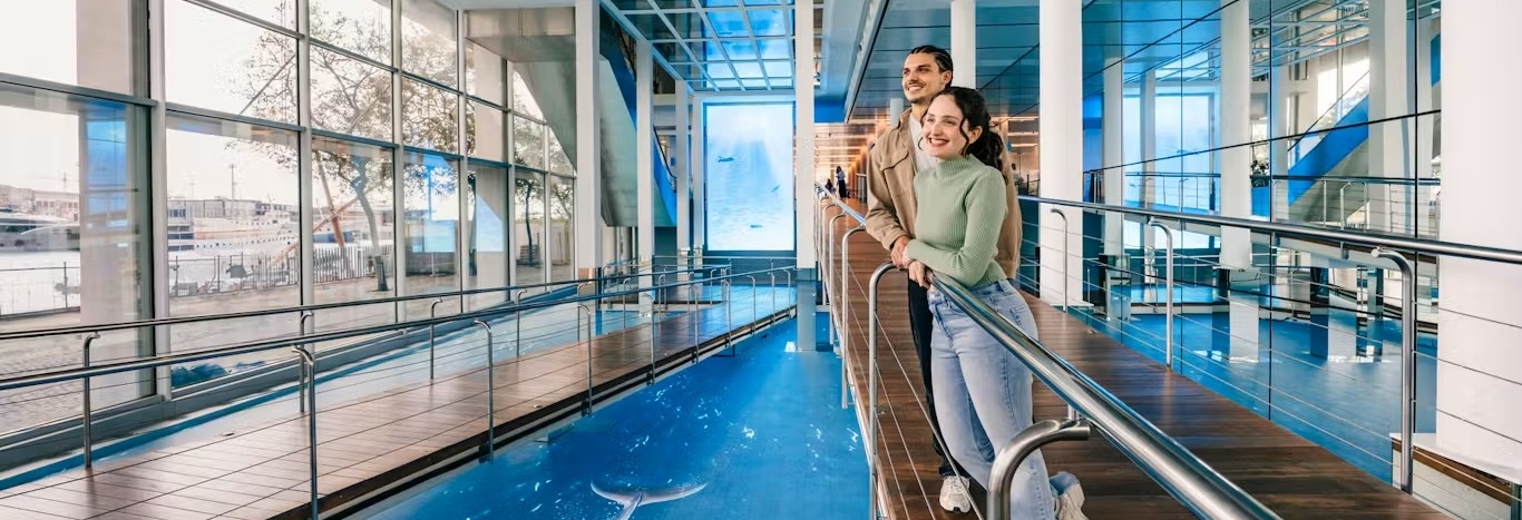 Aquarium 4