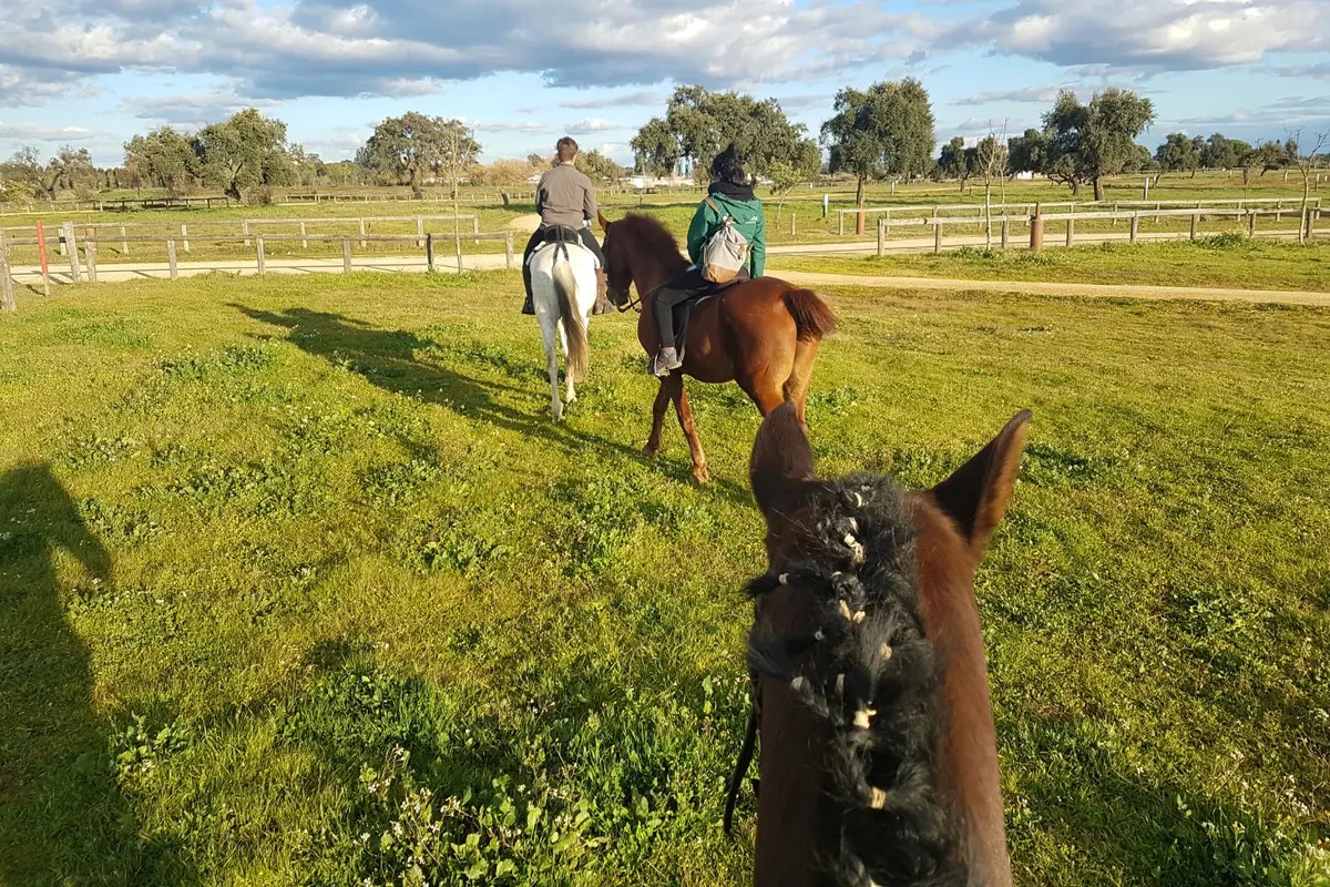 Seville Aljarafe Horse Ride