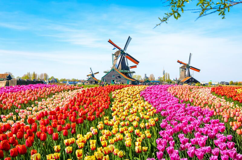 Essentials Pass Choose 3 Top Attractions 2