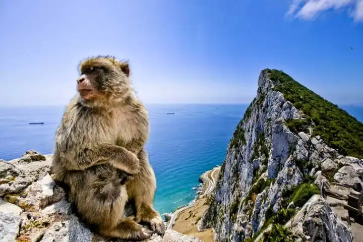 Gibraltar 1-Day Trip from Seville