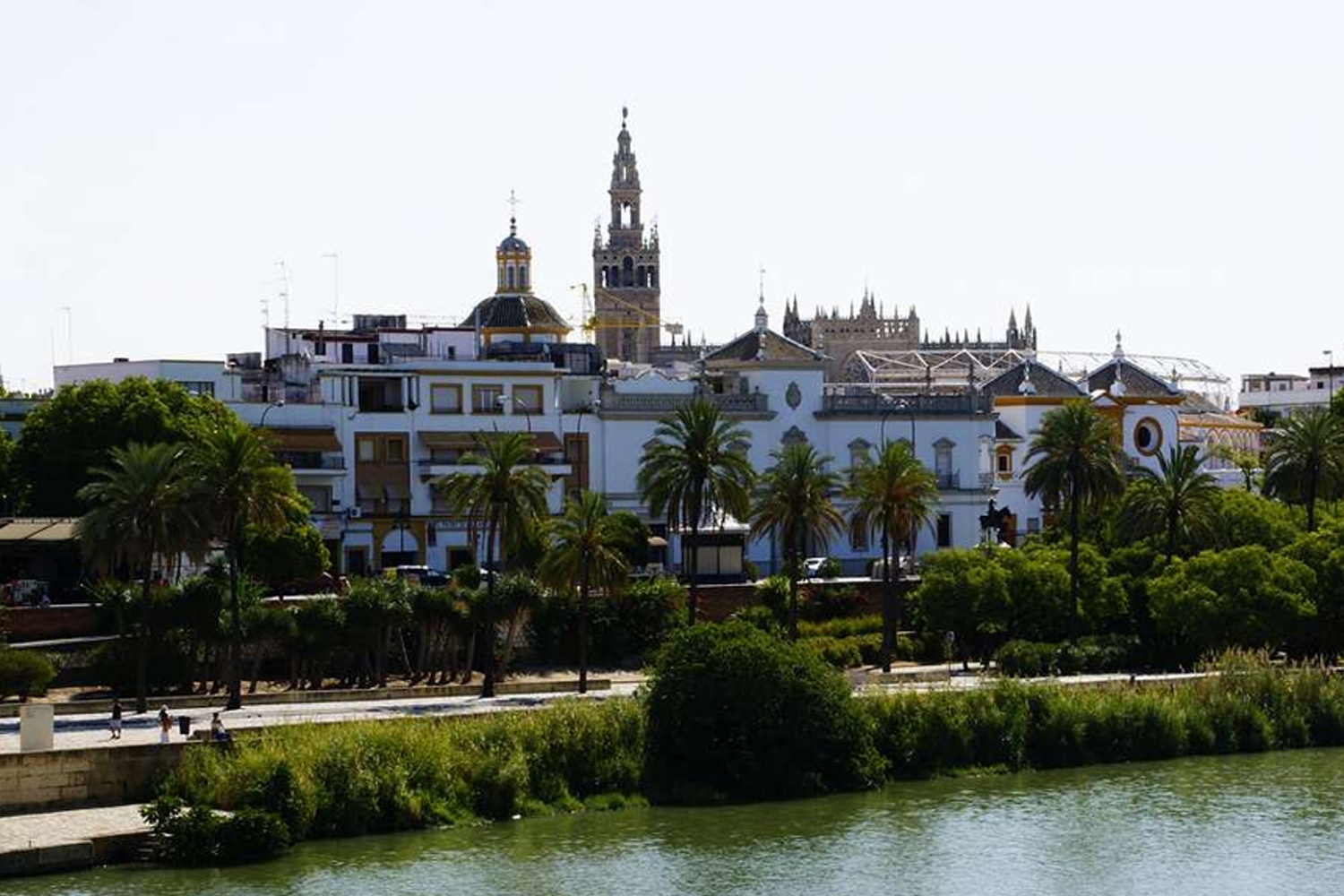 Triana 5