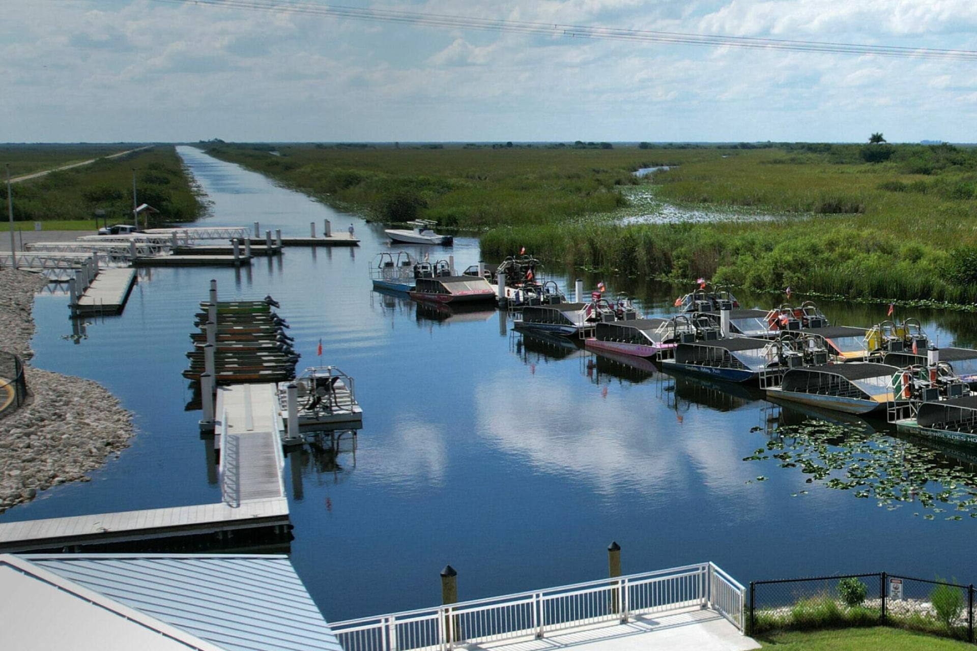 Everglades Airboat Ride 4