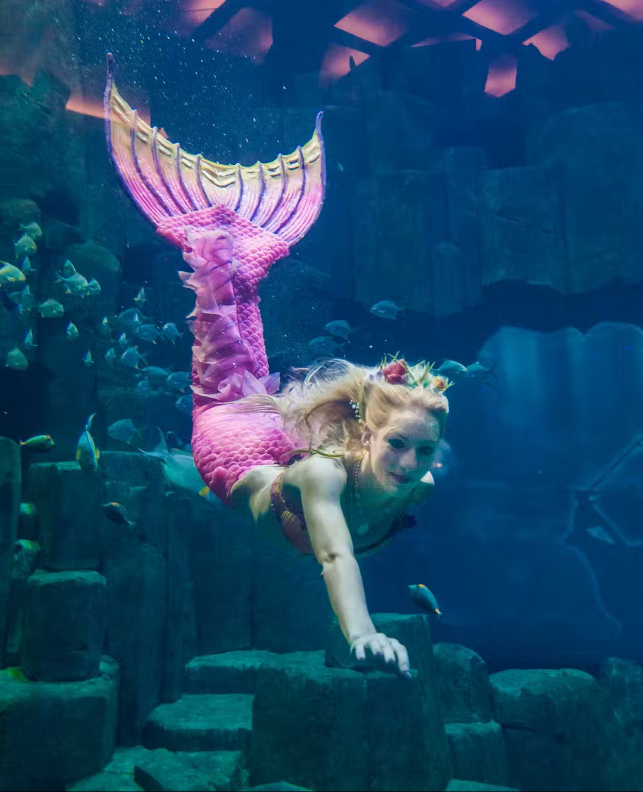 Aquarium 2