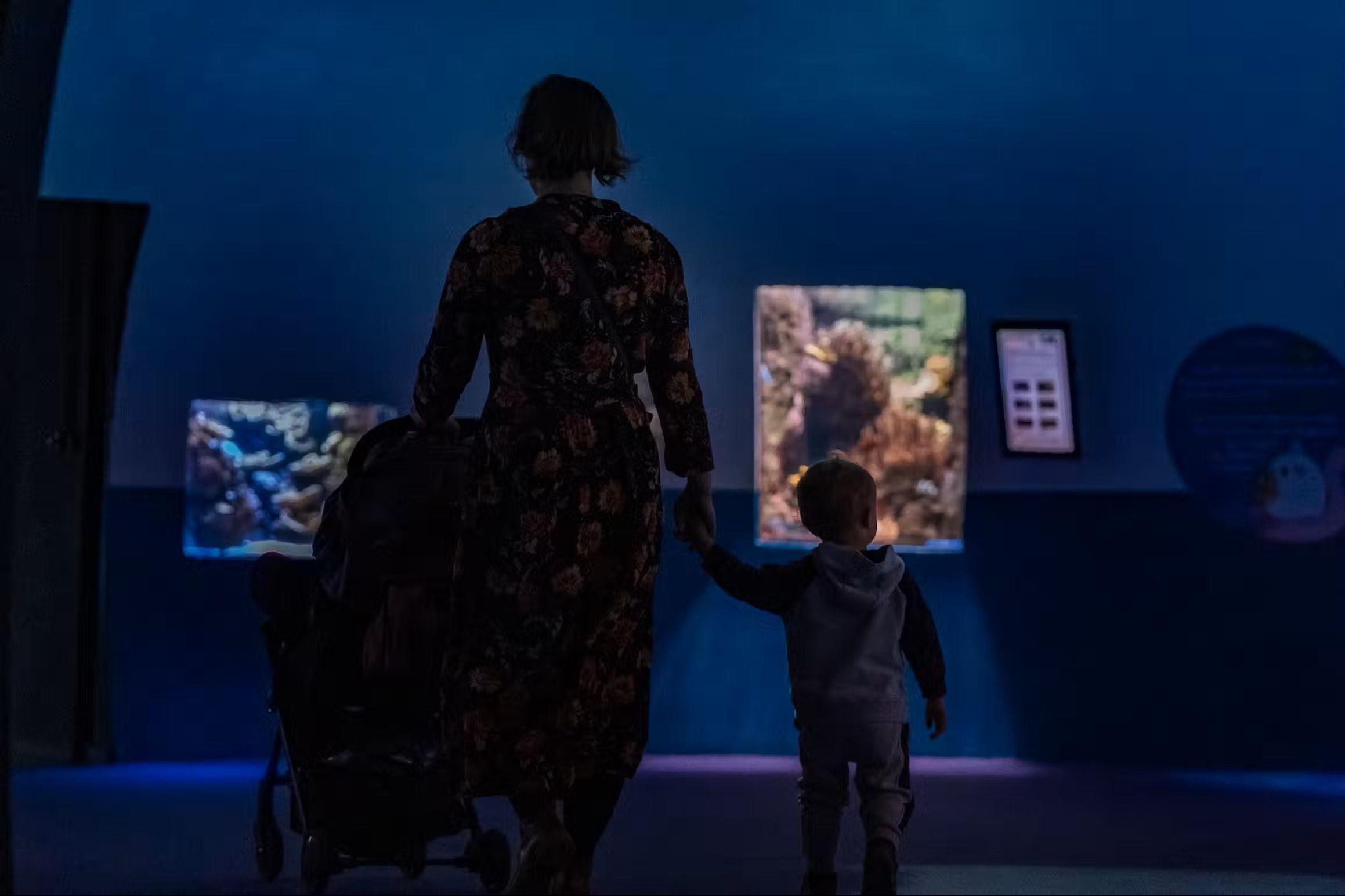 Aquarium 4