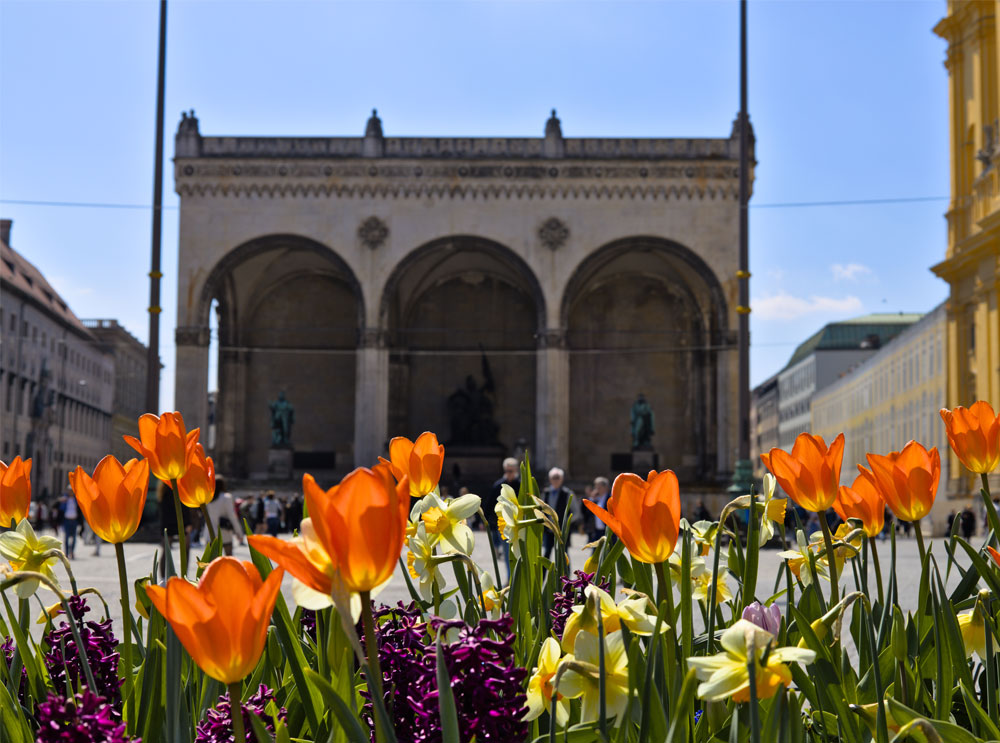Sightseeing 3