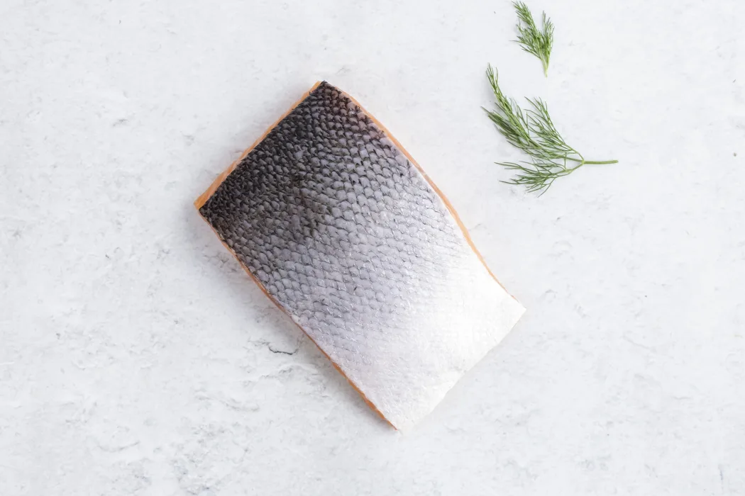 Skin-on Salmon Fillet
