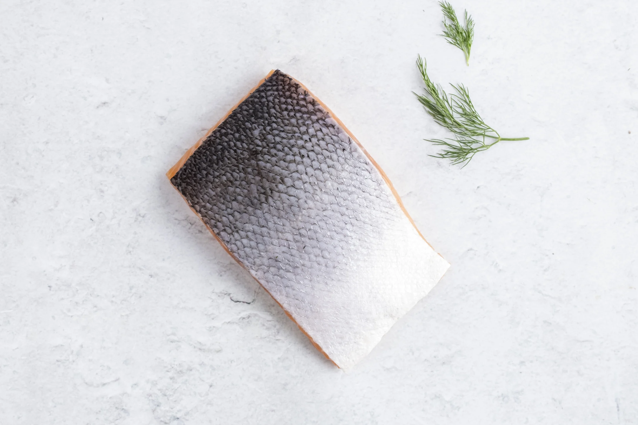 Skin-on Salmon Fillet