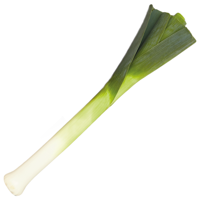 Image result for leek