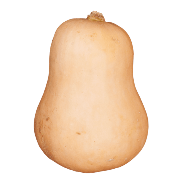 roasted butternut squash and