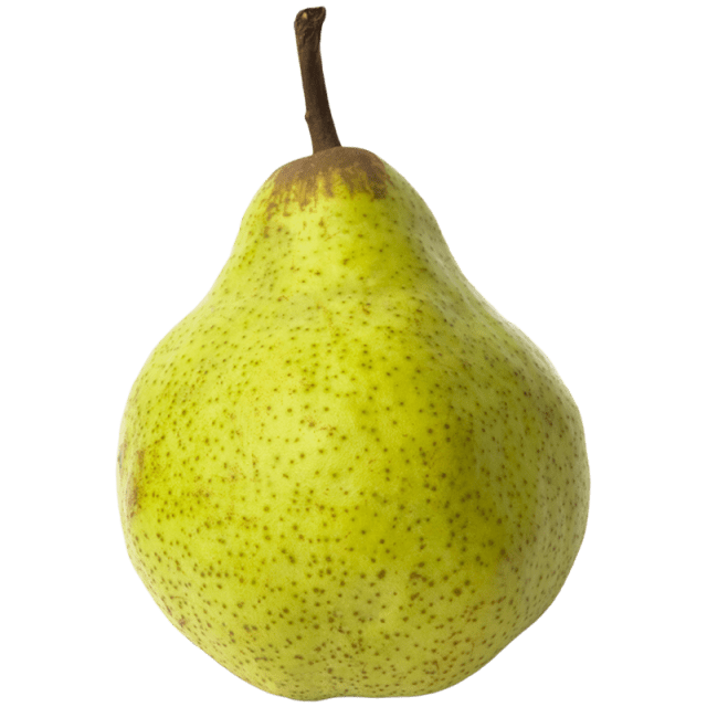 creamy pear and turnip