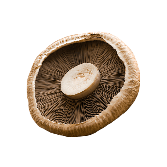 open faced mushroom melt