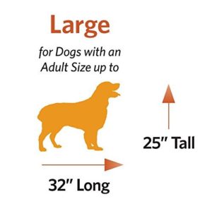 large dog measurement picture