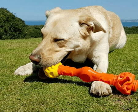 black friday dog toys black friday dog toys