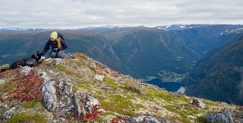 how to train your dog for hiking how to train your dog for hiking