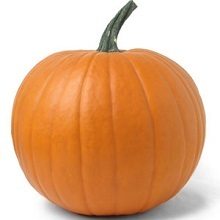 Pumpkin Pumpkin