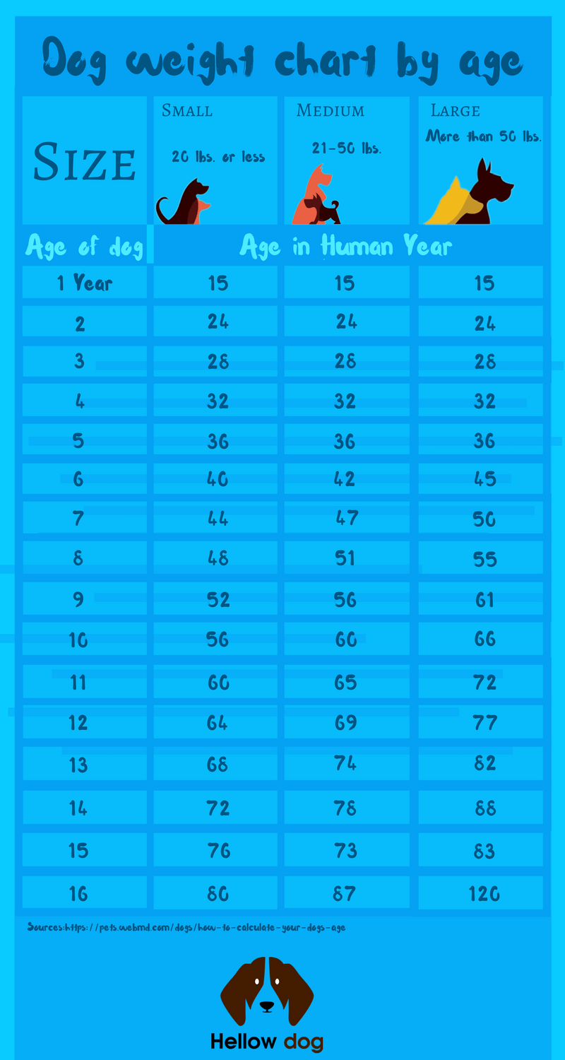 Dog weight chart by age