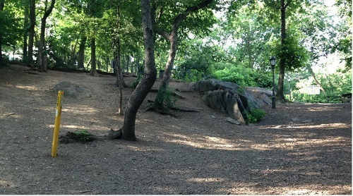 St. Nicholas Dog Park New York City, NY St. Nicholas Dog Park New York City, NY
