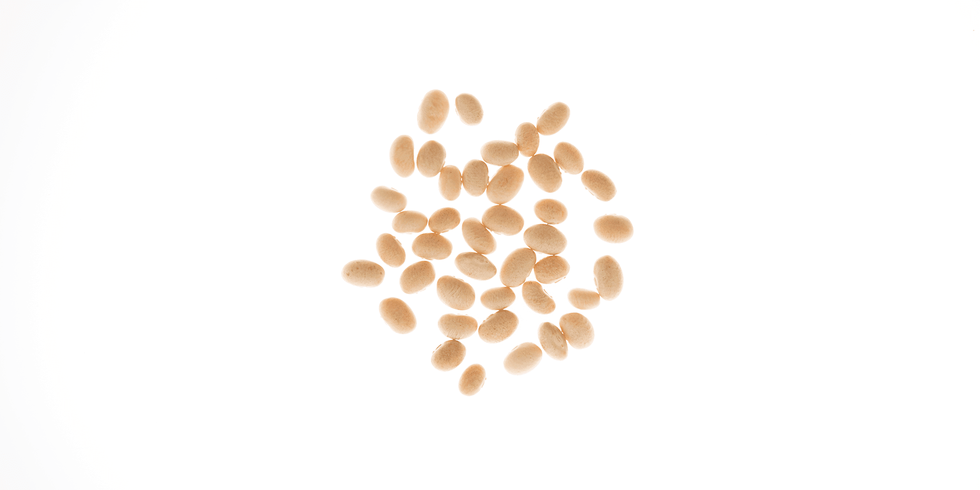 White Beans