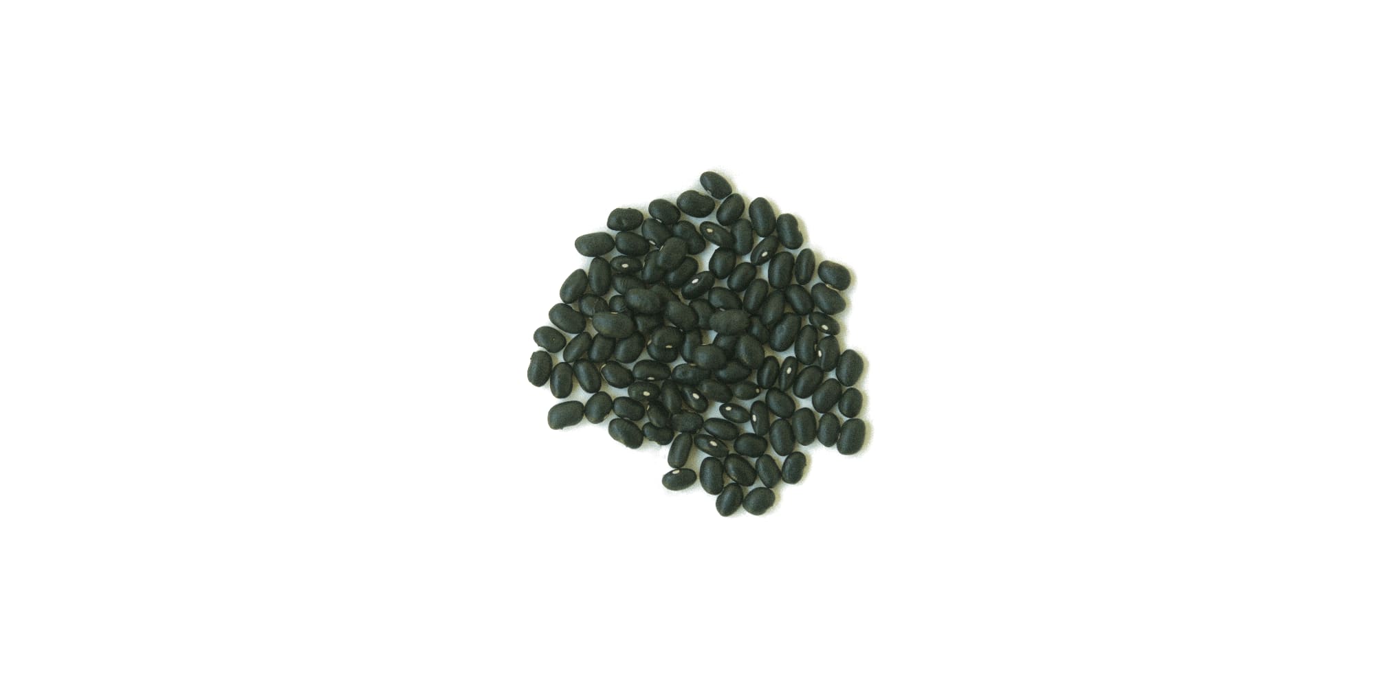 Black Beans