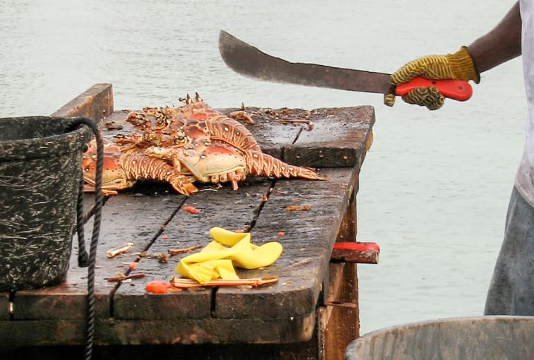 Day-6-Fresh-Anegada-lobster