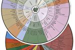 Wine Aroma Wheel Duo