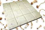 12g P. cubensis Mushroom White Chocolate Slab