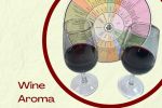 Wine Aroma Wheel 101
