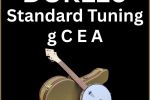 DUKE10-V3 Banjo Ukulele | Hard Case | Worth Brown Strings